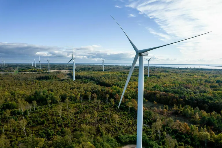 On see mets või elektrijaam? Pildil Pakri tuulepark.