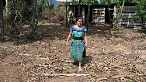 WMO hoiatab: El Niño tõenäosus juunist augustini on 80%