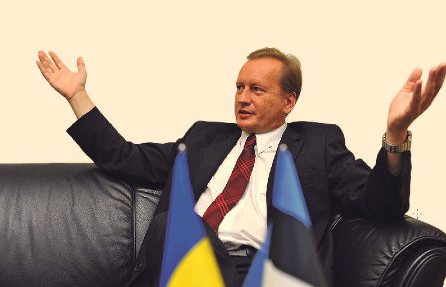Виктор Крыжанивский отметил, что Эстония — одна из стран, которые оказывают Украине наибольшую поддержку на пути евроинтеграции.