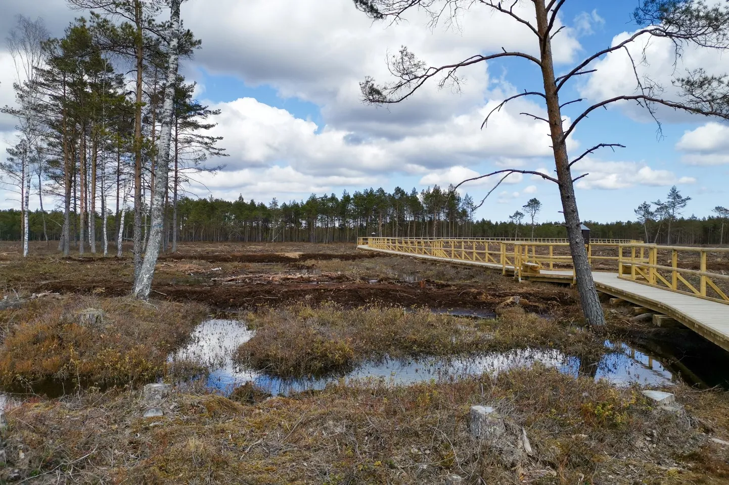Kirjutada võib kõigest, mis Lääne-Virumaalt muljeid ja mälestusi jätnud, olgu linnas, maal või looduses. Pildil Tudu Järvesoo matkarada.