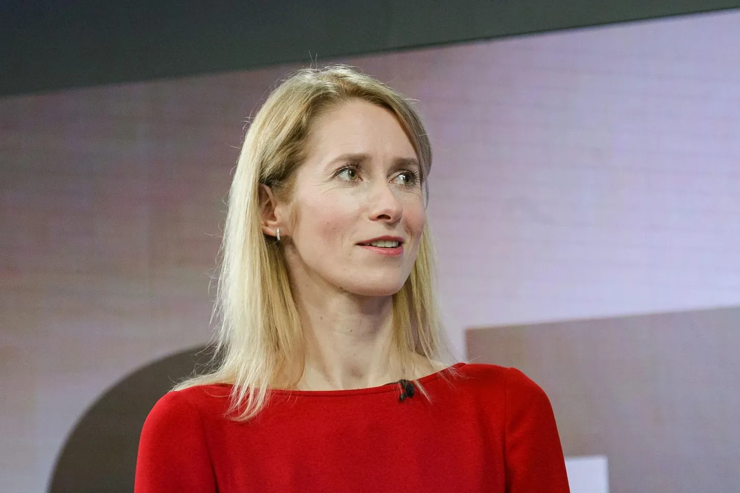 Kaks nädalat vaikust valge raamatu teemal on selge ja vali sõnum peaministrile, et demokraatia mängimise asemel tuleb mõelda selge strateegia väljatöötamisele.