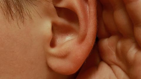Kas silmi sulgedes ikka kuuleb paremini – loe, mida teadlased kindlaks tegid