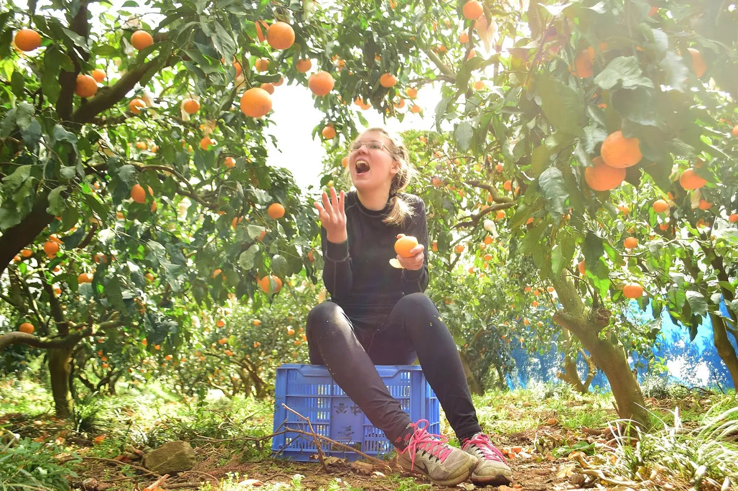 Maris Pedaja tegi endast foto Jaapanis Ehime provintsis, kus ta töötas 2016. aastal kuu aega vabatahtlikuna, ja avaldas oma blogis (https://www.marispedaja.ee).