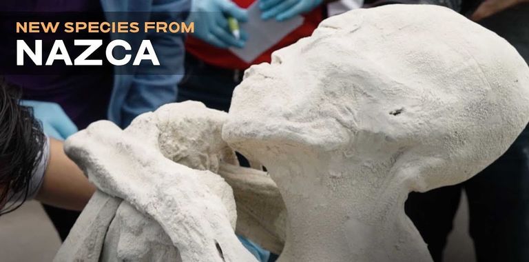 Peruust leitud pika kolju ja kolme sõrmega muumia