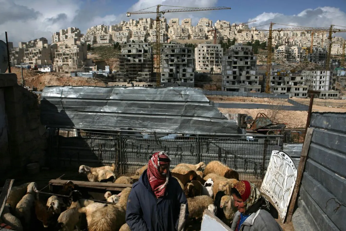 Palestiina lambakasvatajad, taamal Iisraeli okupeeritud Ida-Jeruusalemm.