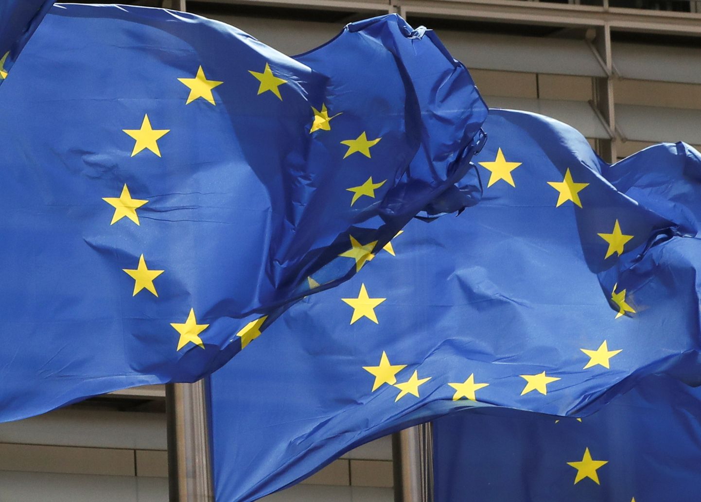 Euroopa Liidu lipud.