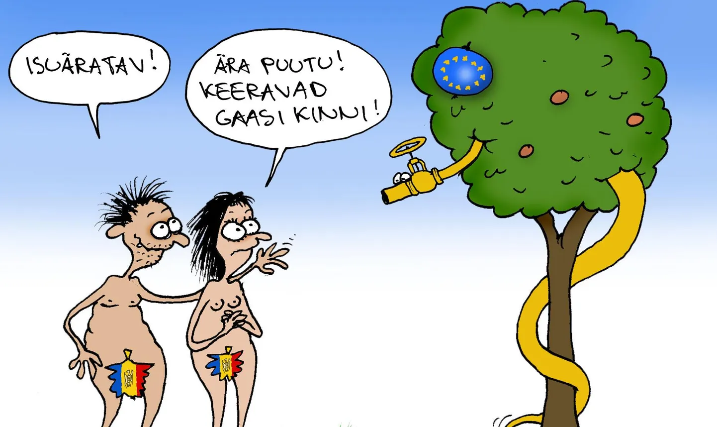 Urmas Nemvalts joonistab.