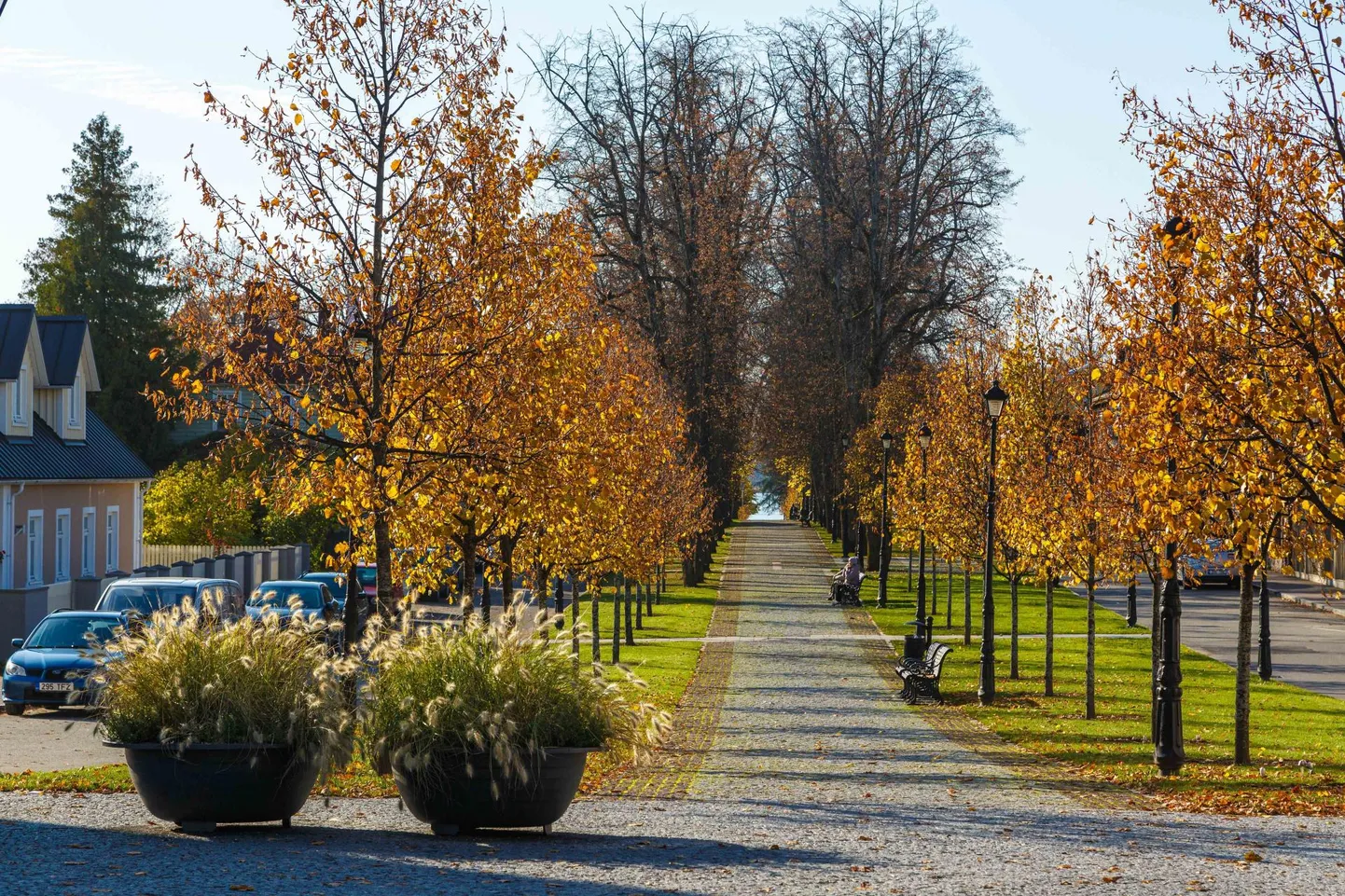 Võru, 16.10.2019

Võru linn. Katariina allee. Sügis, Võrumaa