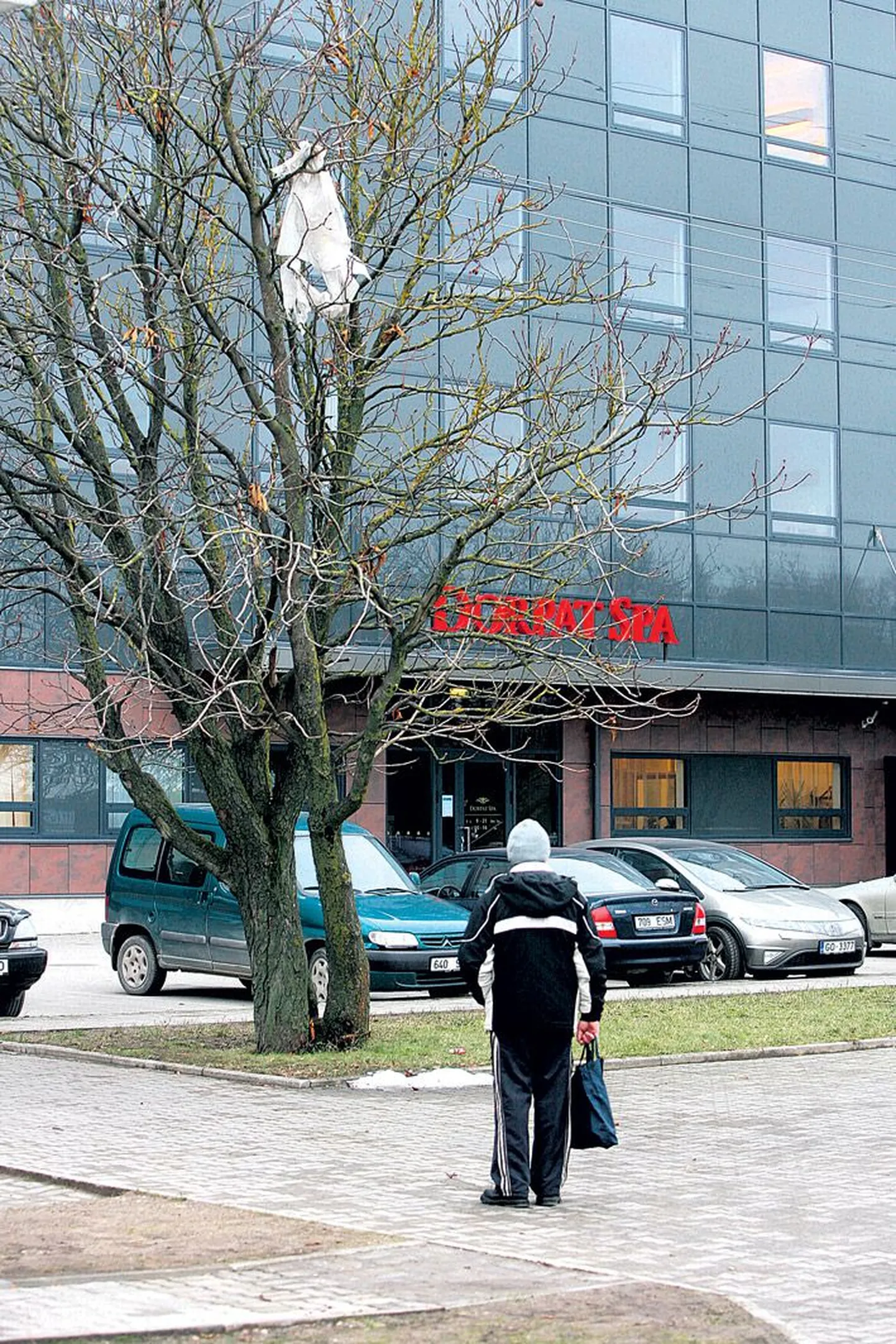 Päevinäinud kiletükk on viimased kaks aastat lehvinud Tartu avaturu kõrval puu otsas.