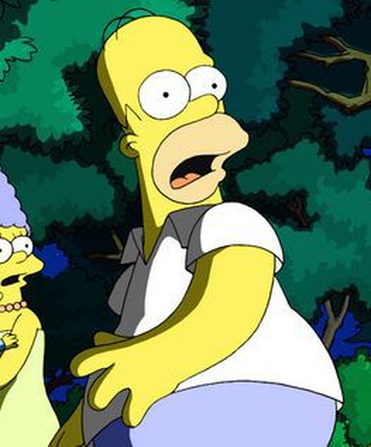 Homer Simpson: olen Susan Boyle´i fänn