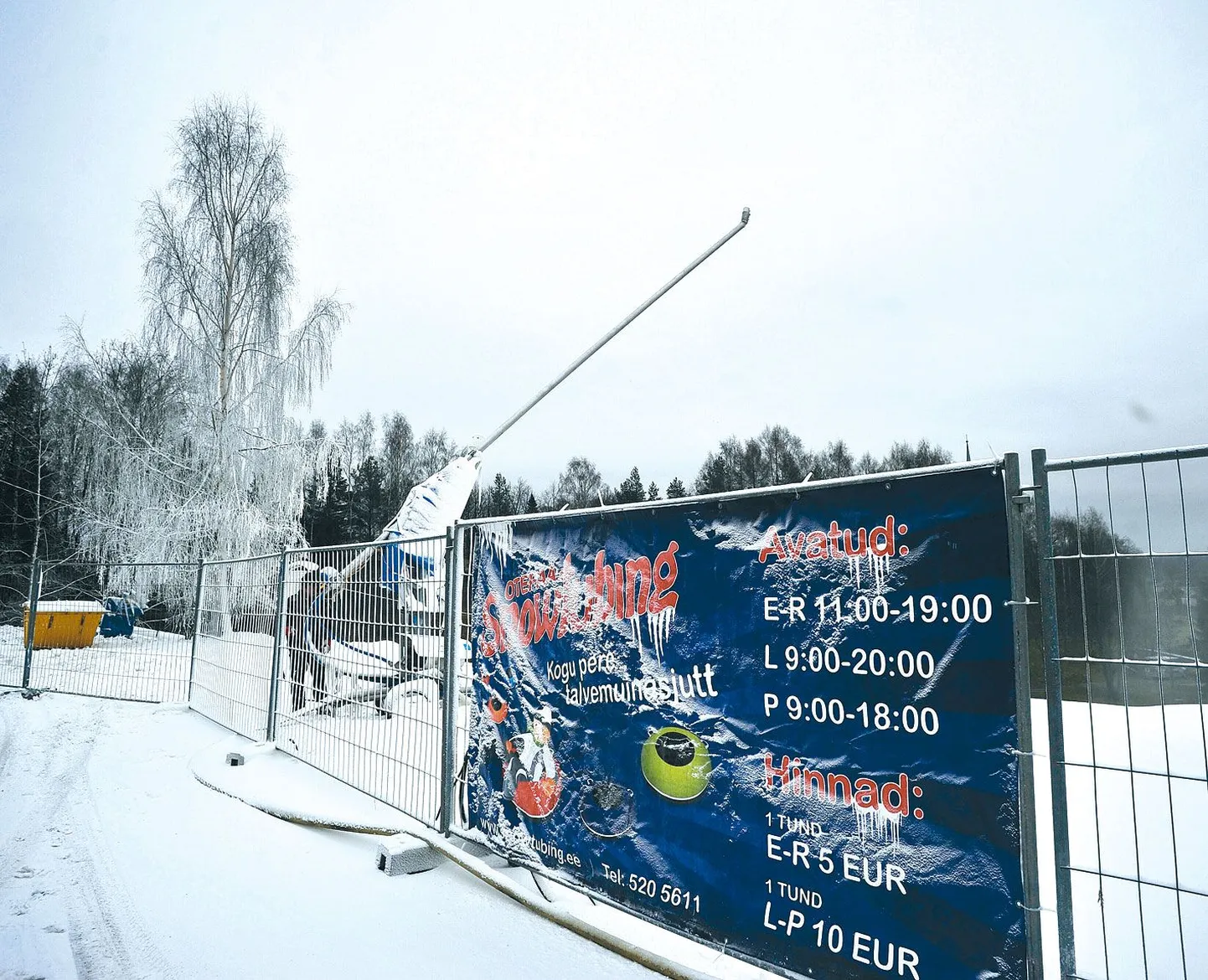 Otepää lastel võis eile silm juba korraks särama lüüa. Kelgumäe alguses oli keskpäevaks omajagu valget vaipa maas.