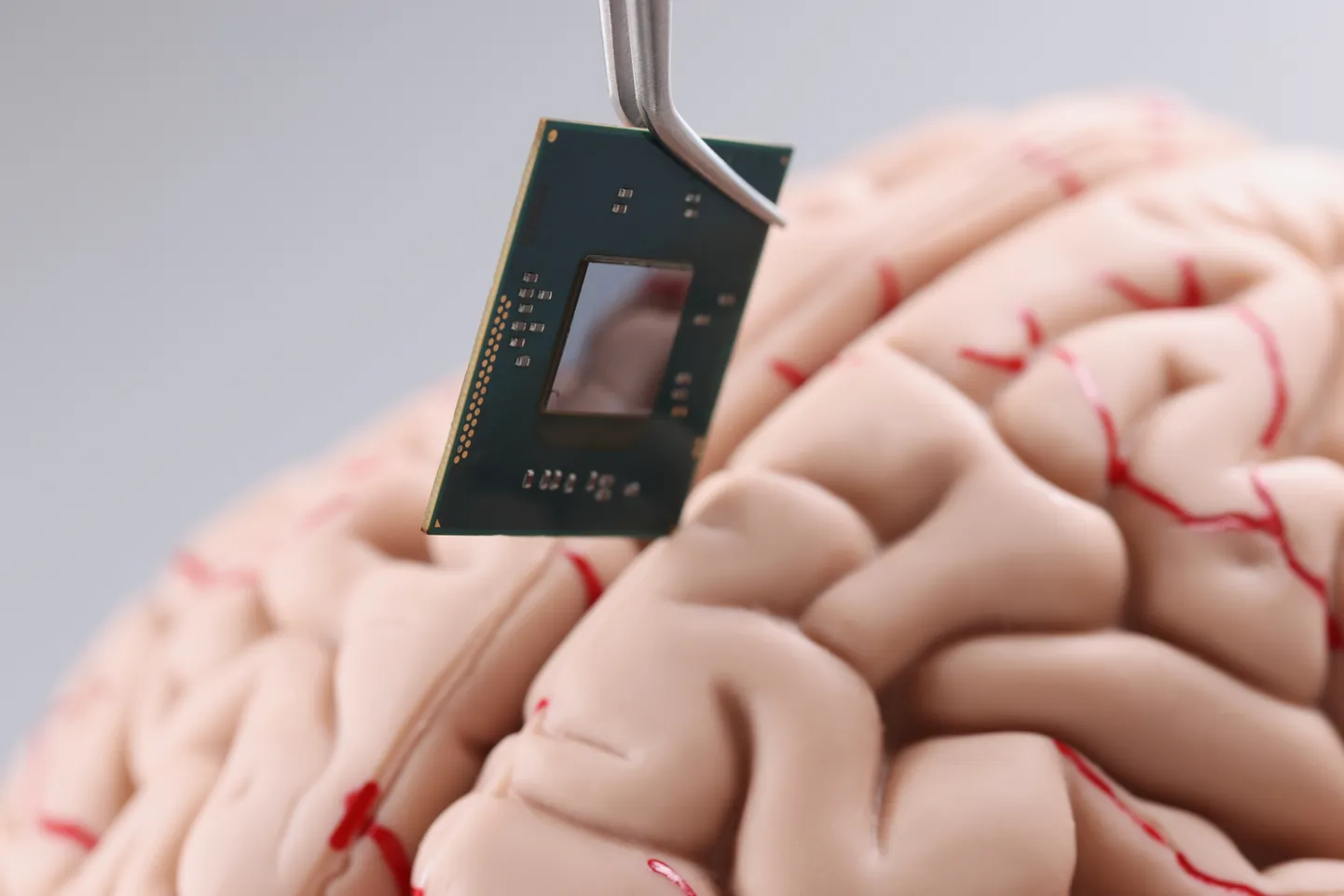 Teadlane kasutab pintsetttööriista, et panna inimese aju mudelisse väikesed arvutikiibi üksikasjad.