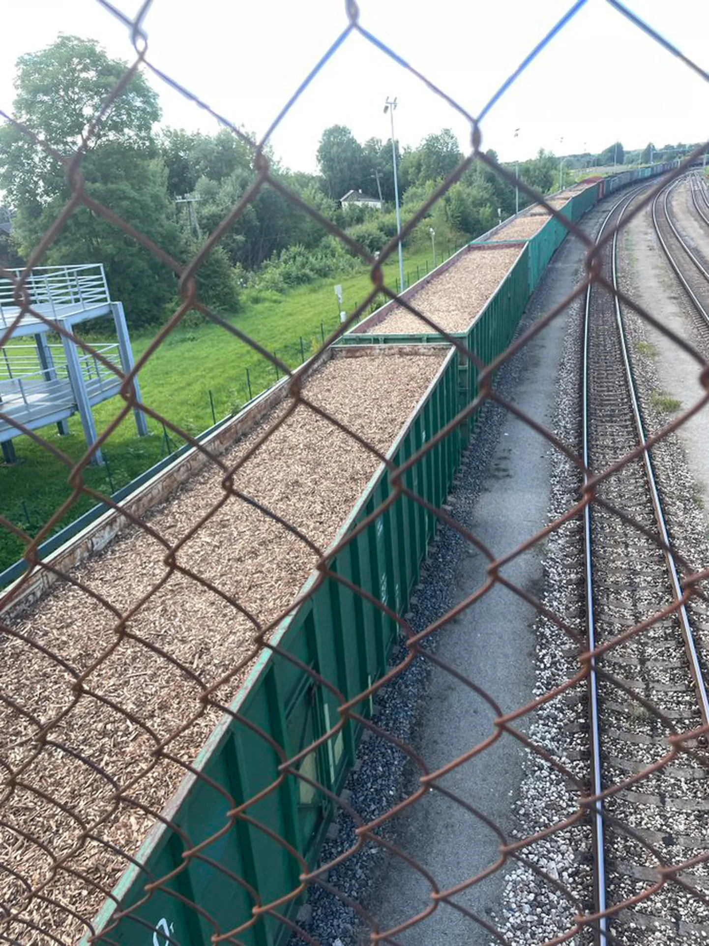 Фото статьи