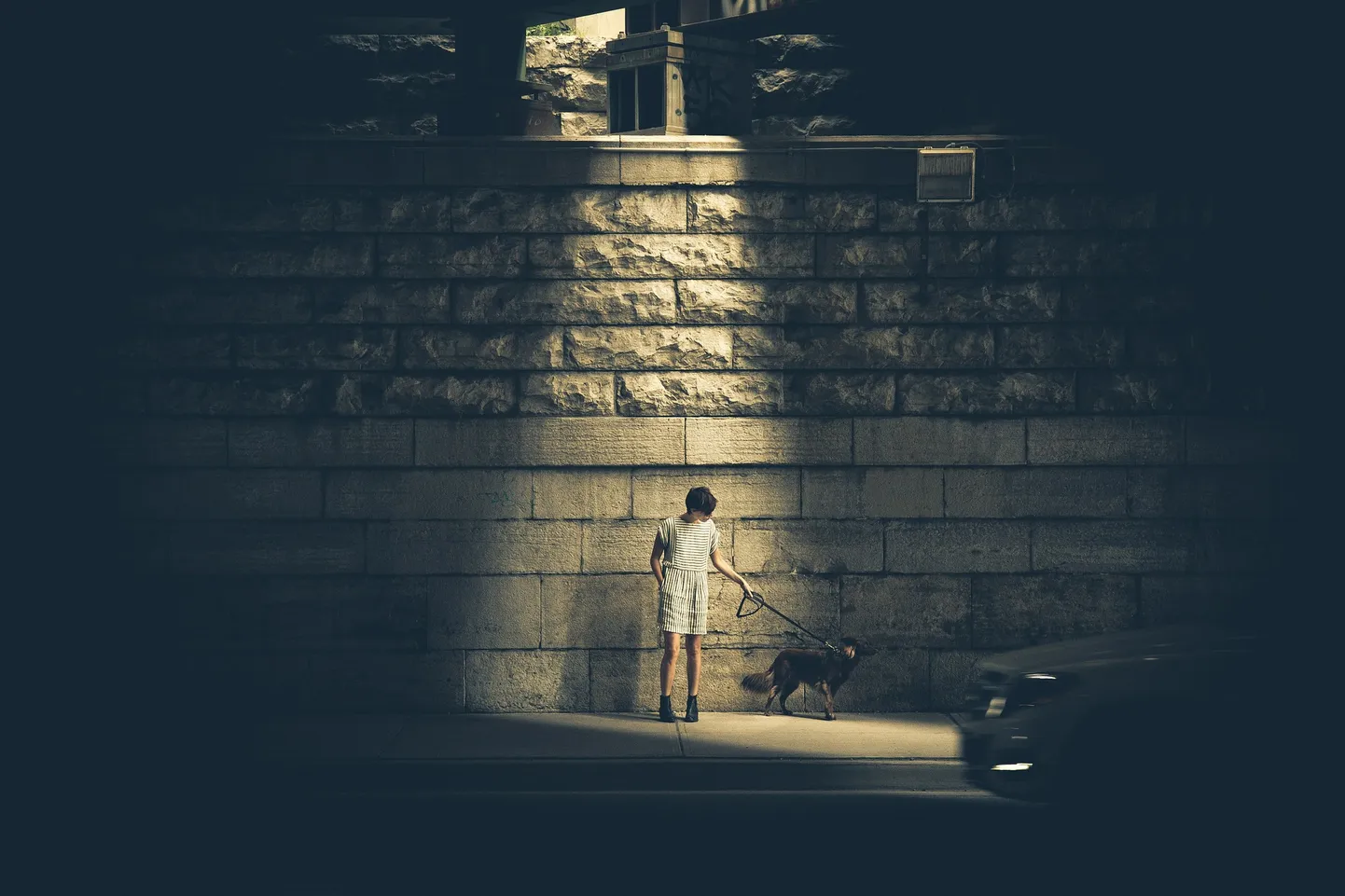 Artikli foto