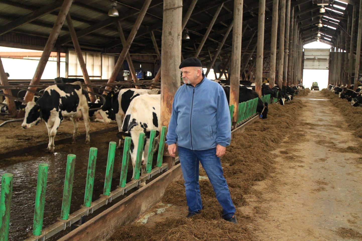 Külmsoo talu peremees Raivo Musting on piimakarja kasvatanud 28 aastat.
