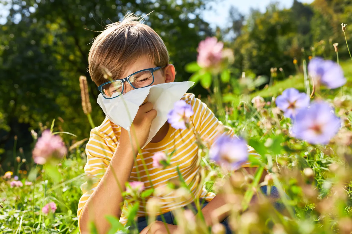 Enamasti põhjustab õietolm allergilist rinokonjunktiviiti.