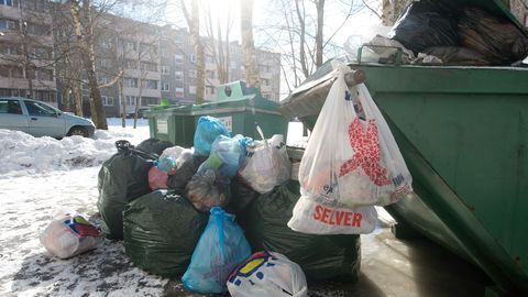 В Эстонии набирает популярность «ныряние в мусорные баки»