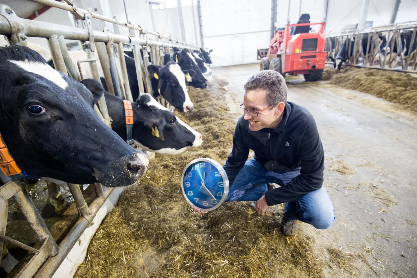 Väätsa Agro juhi Margus Mulla  sõnul on see, mida ja kui palju loomadele ette antakse, väga täpselt välja arvutatud.