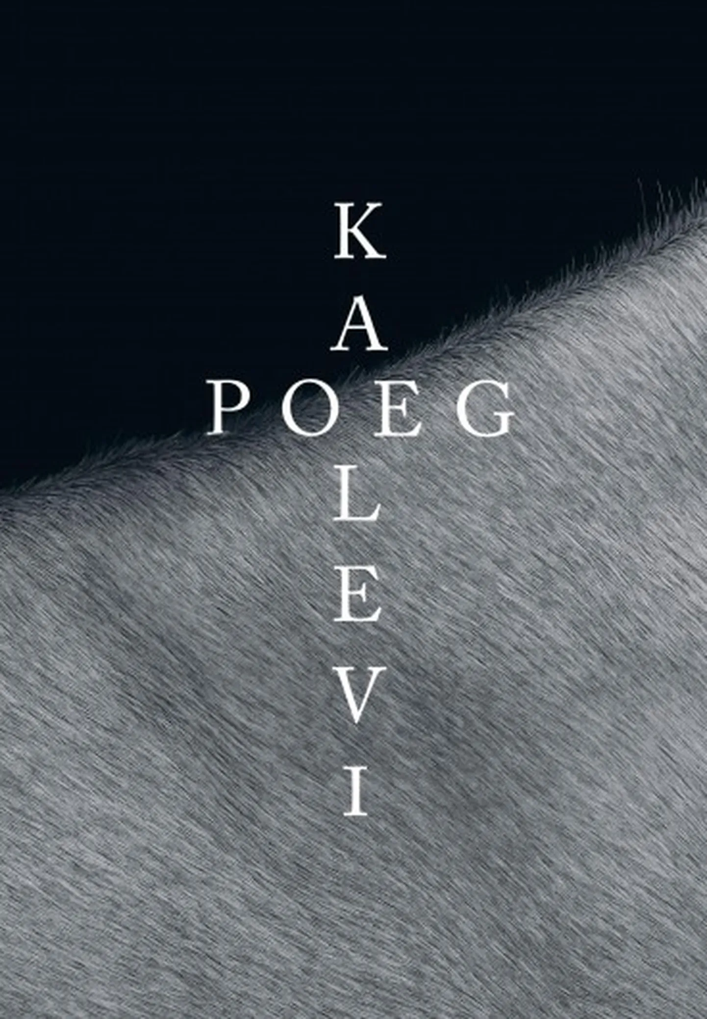 «Kalevipoja» lätikeelse uustõlke esikaas.