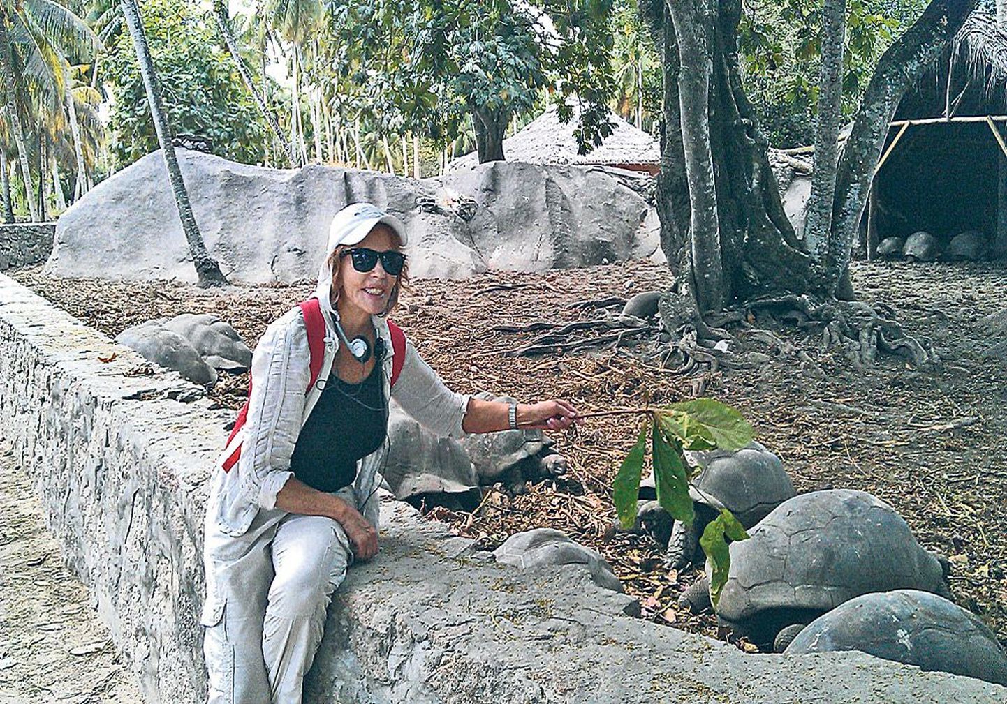 Kilpkonna-söötja: 
Tiina Park 
Seišellide saarestikus, millest jutustab ka tänaõhtune «Reisile meiega».