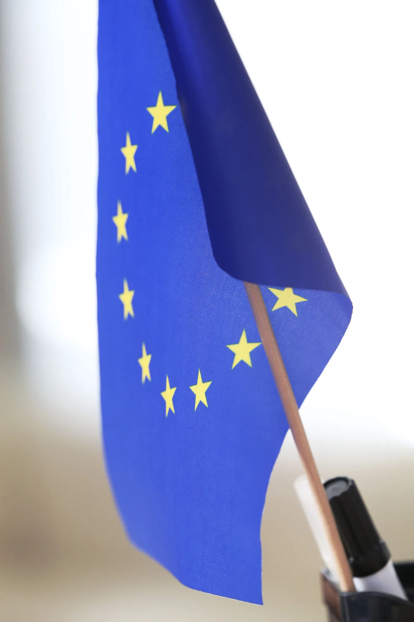 Euroopa Parlamendi valimised on 25. mail.