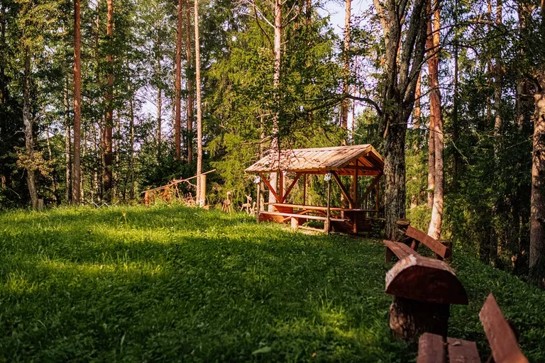 Raksta foto