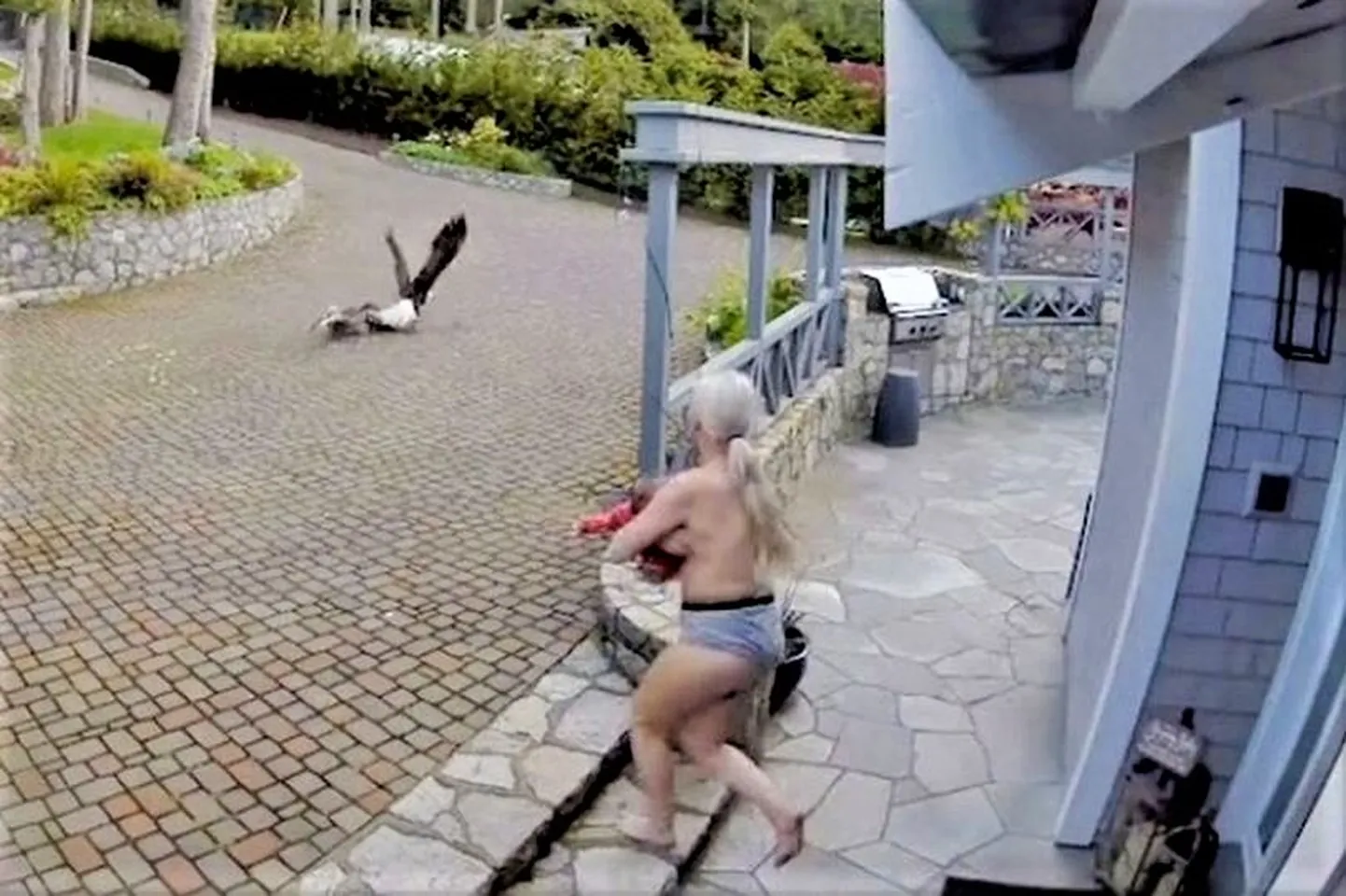Kanadast pärit Cait tormab oma hane päästma.