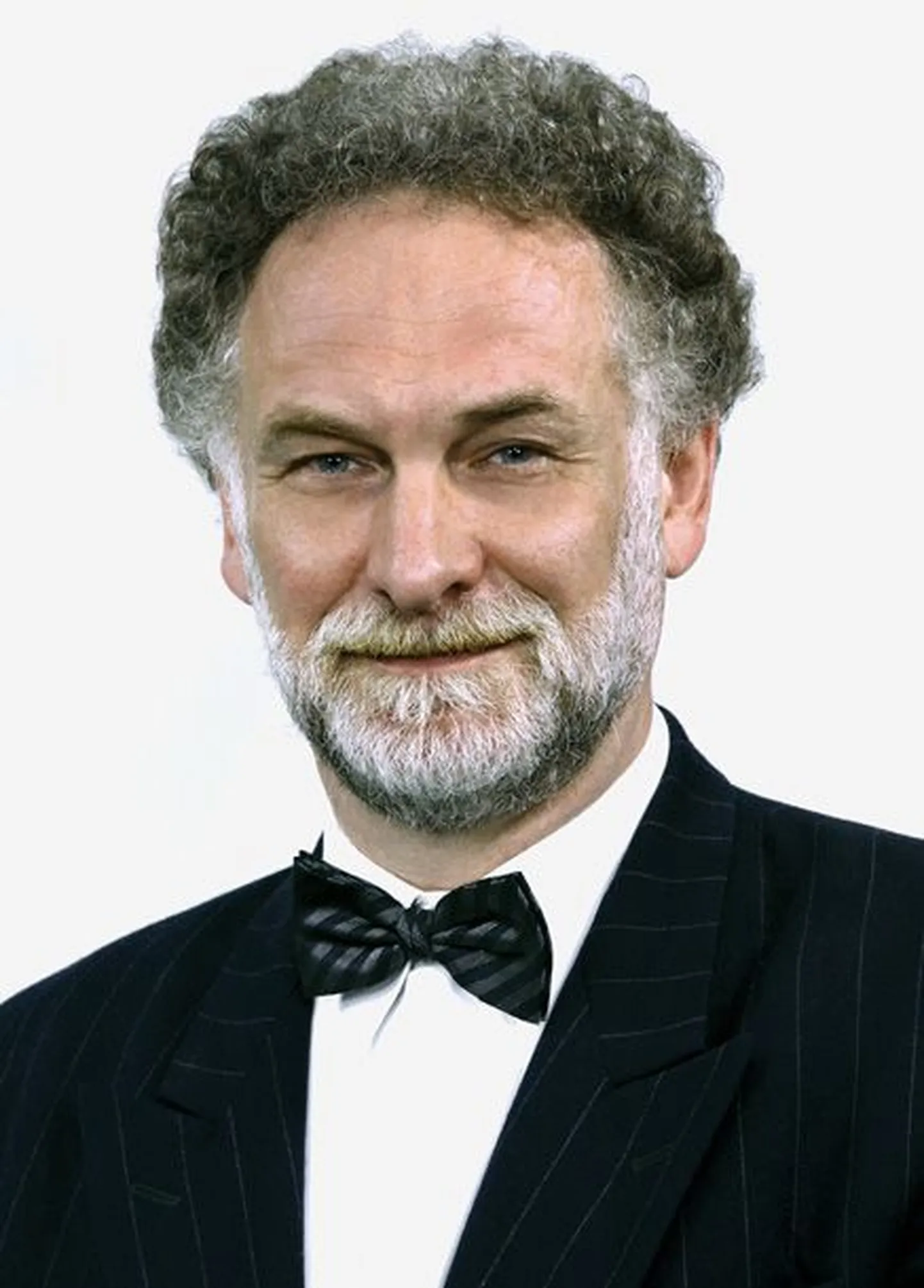 TTÜ Küberneetika Instituudi direktor Andrus Salupere