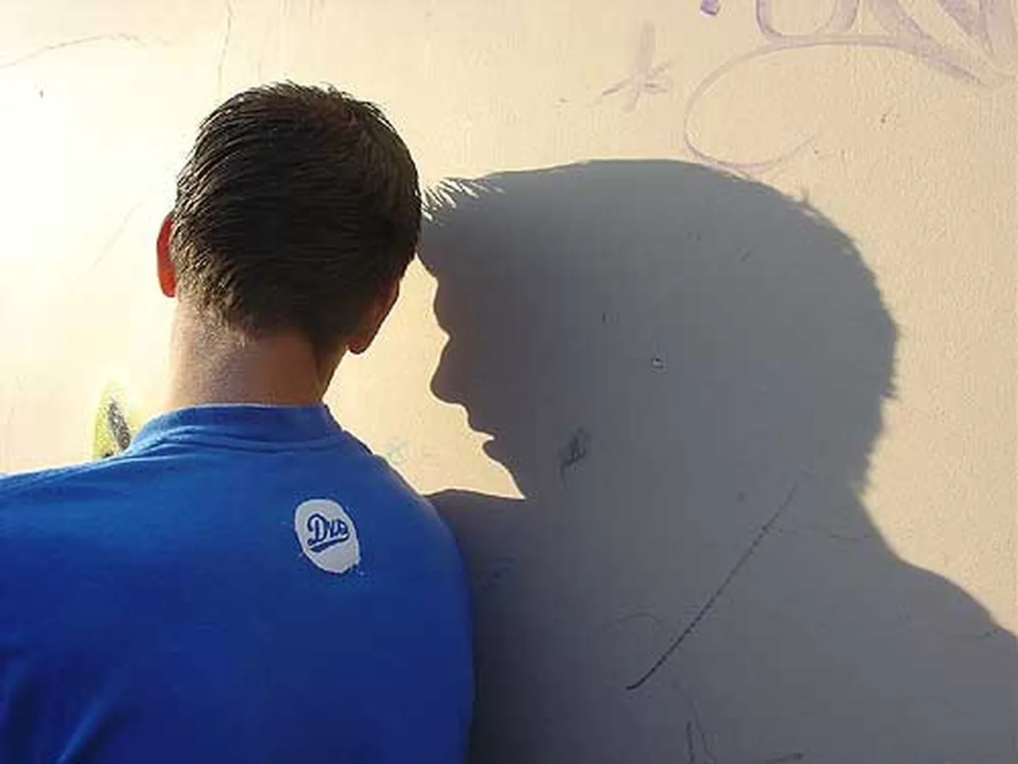 Raksta foto