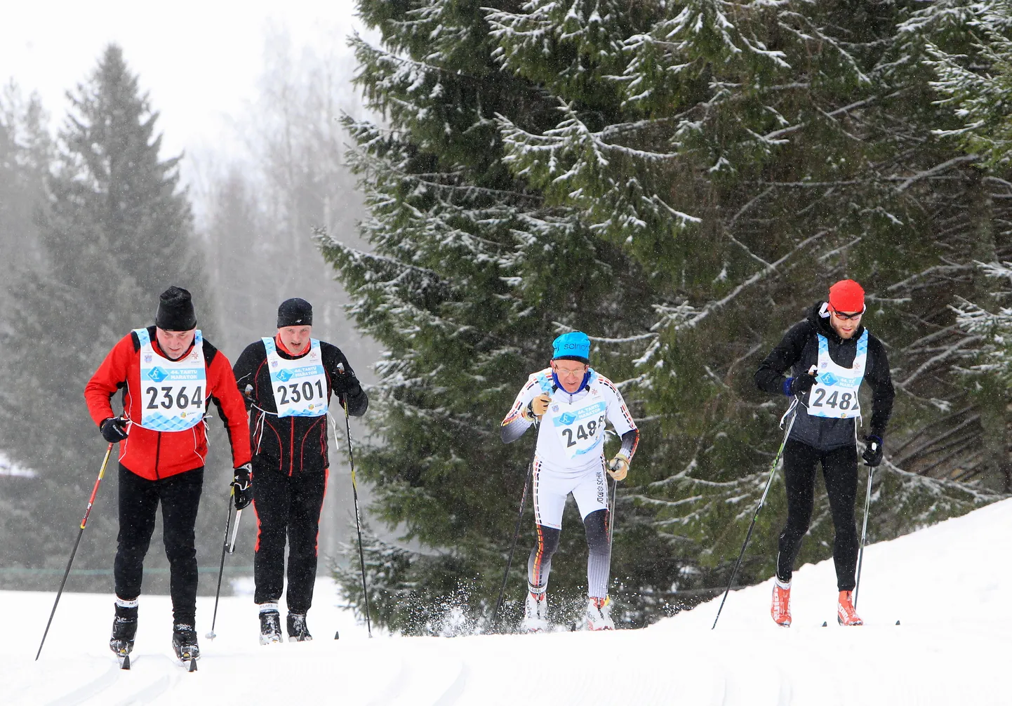 Suusamaraton. Foto on illustratiivne.