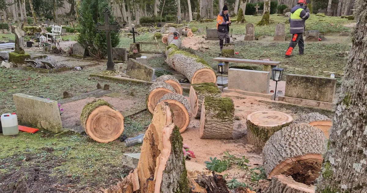 Torm murdis puid ka kalmistutel