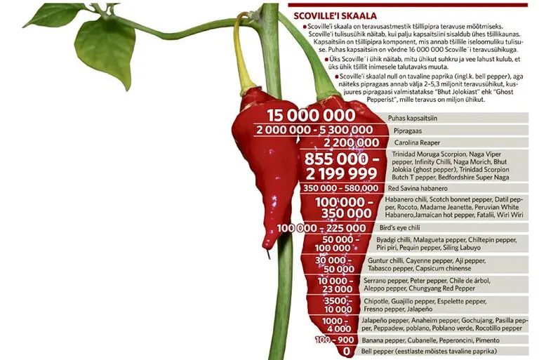 Scoville’i skaala.