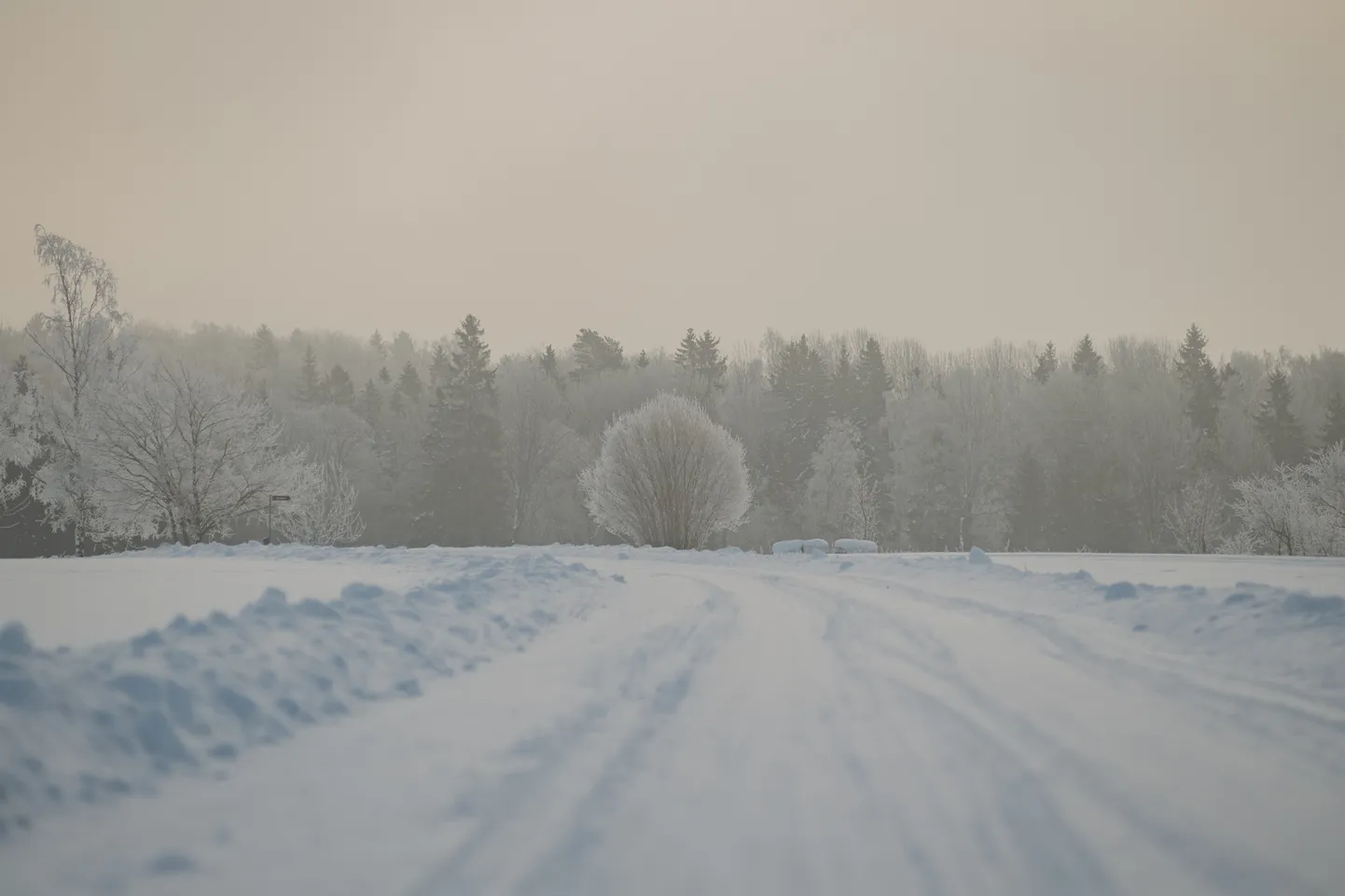 Foto: Ziemas sals Latvijas ārēs