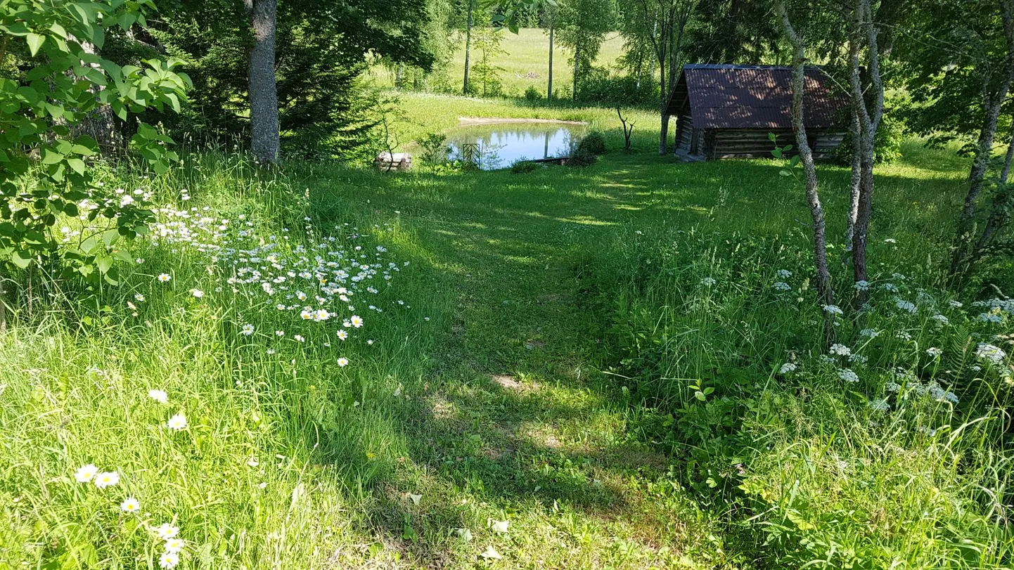Harvem käidavatesse piirkondadesse niida muruniidukiga sisse käigurada, ülejäänud alal tee juulikuus heina.