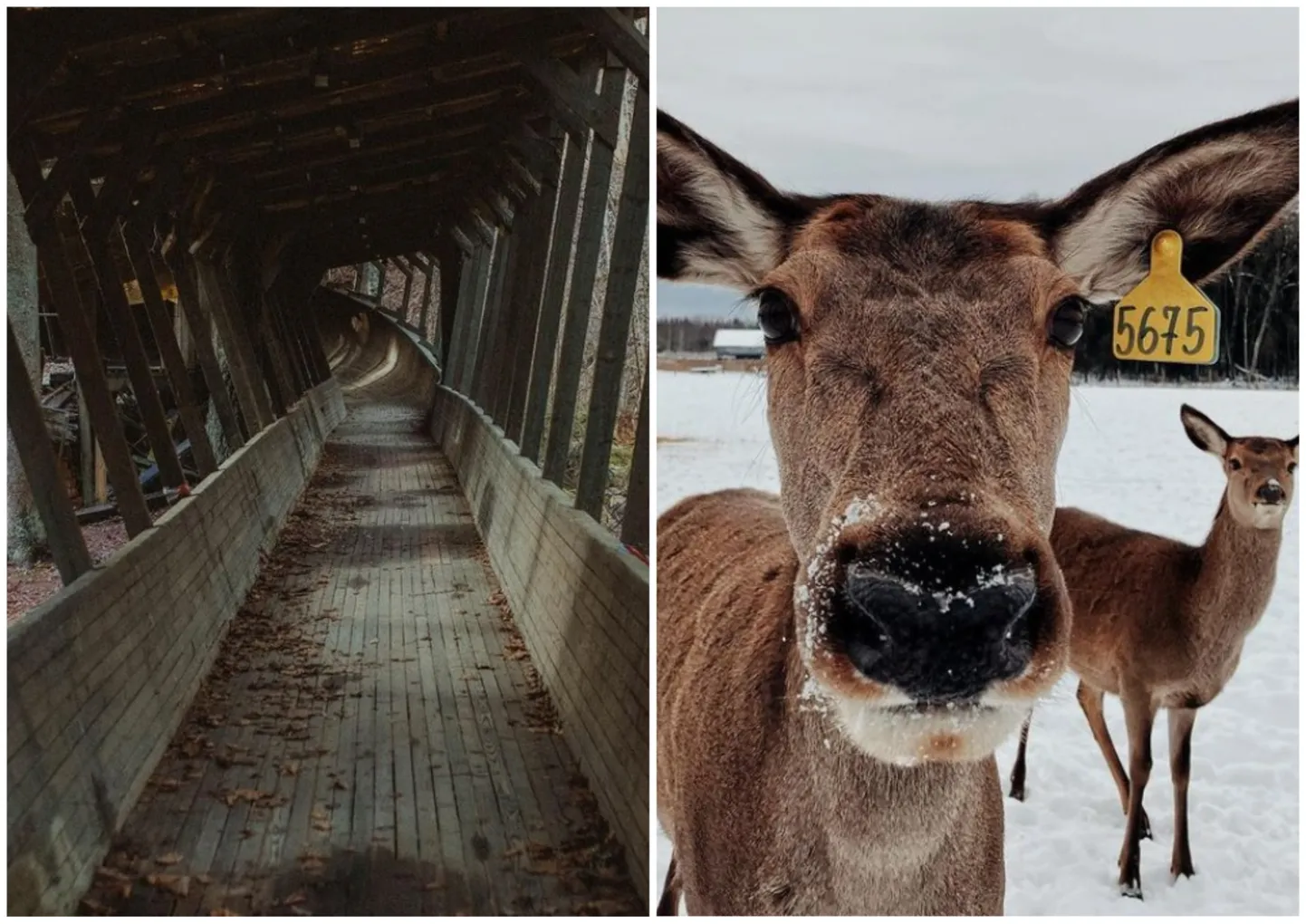 Фото статьи