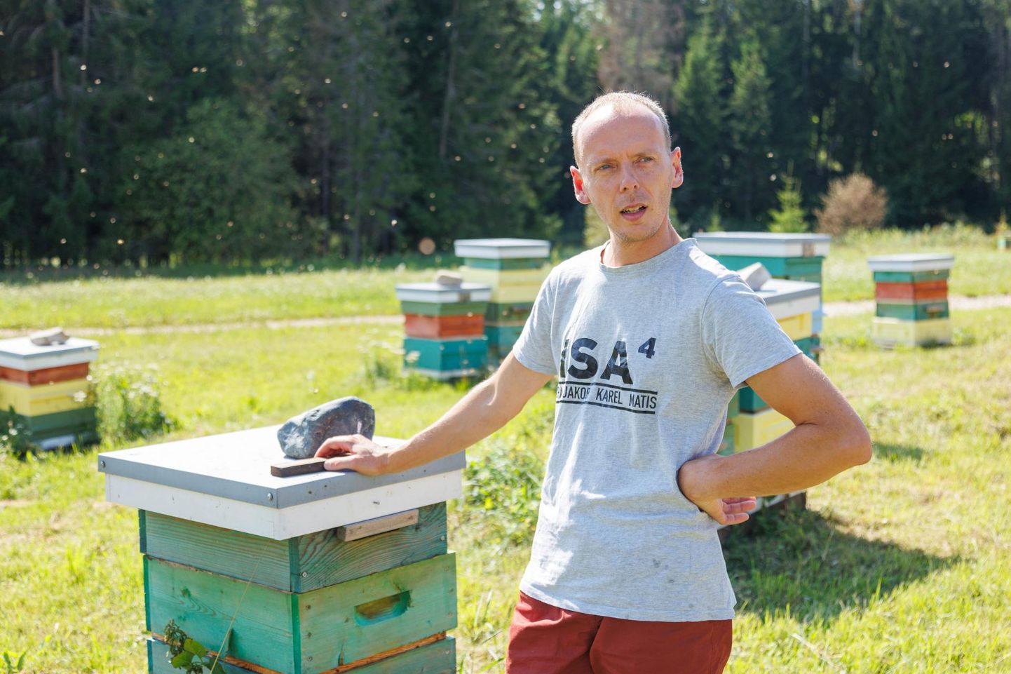Mesinik Taavi Pirnipuu ütleb, et mesinduses õpib pea iga päev midagi uut juurde.