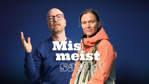 MIS MEIST SAAB? ⟩ Tuul Sepp: on suur vahe, kas Eesti metsa majandavad kohalikud inimesed või välismaa ettevõtted