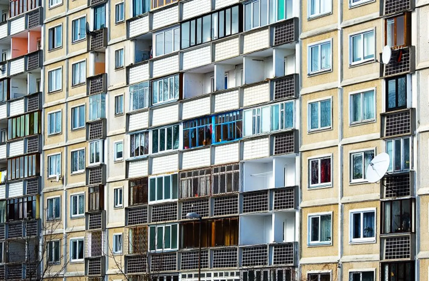 Фото статьи
