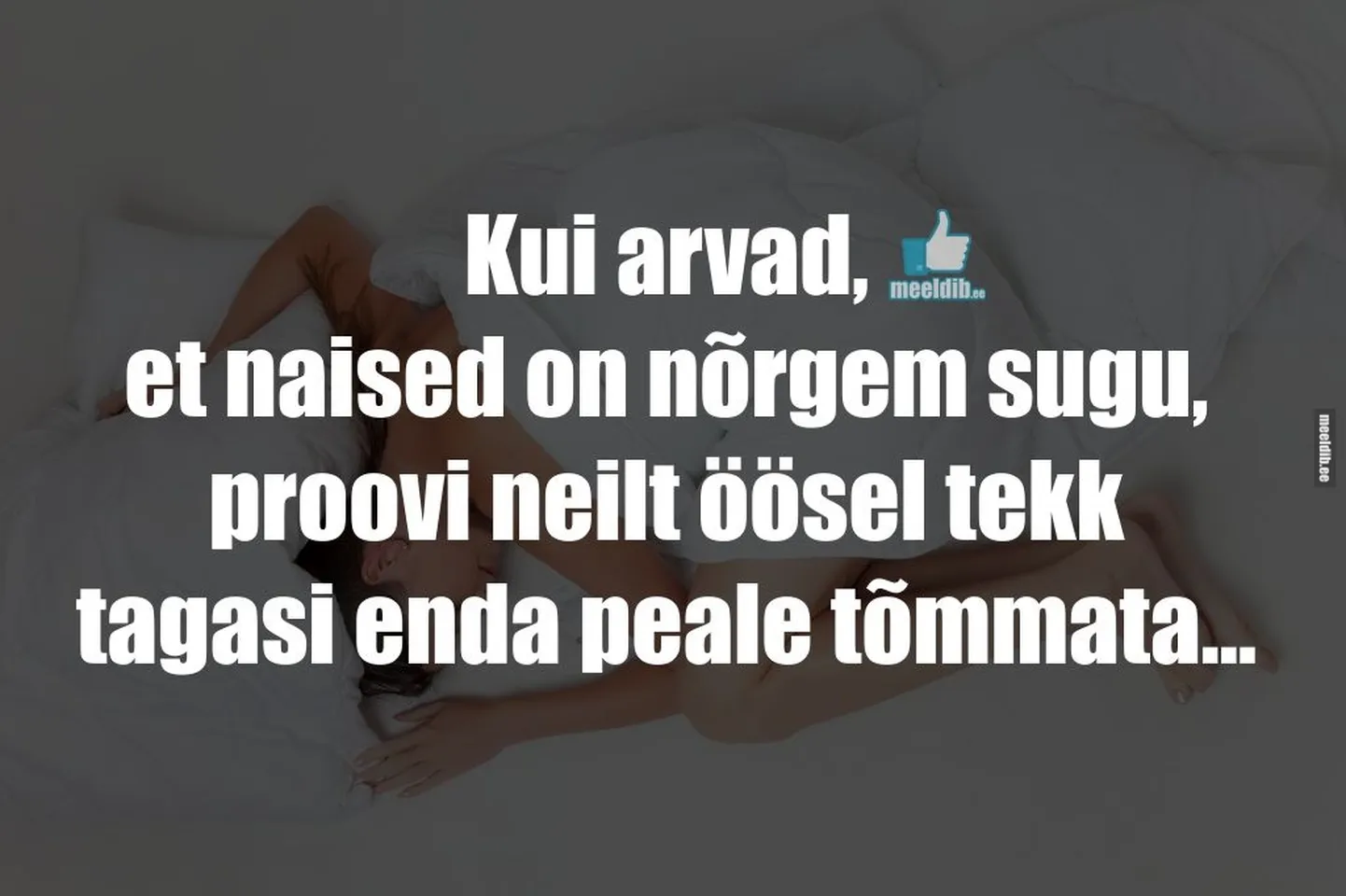 Artikli foto
