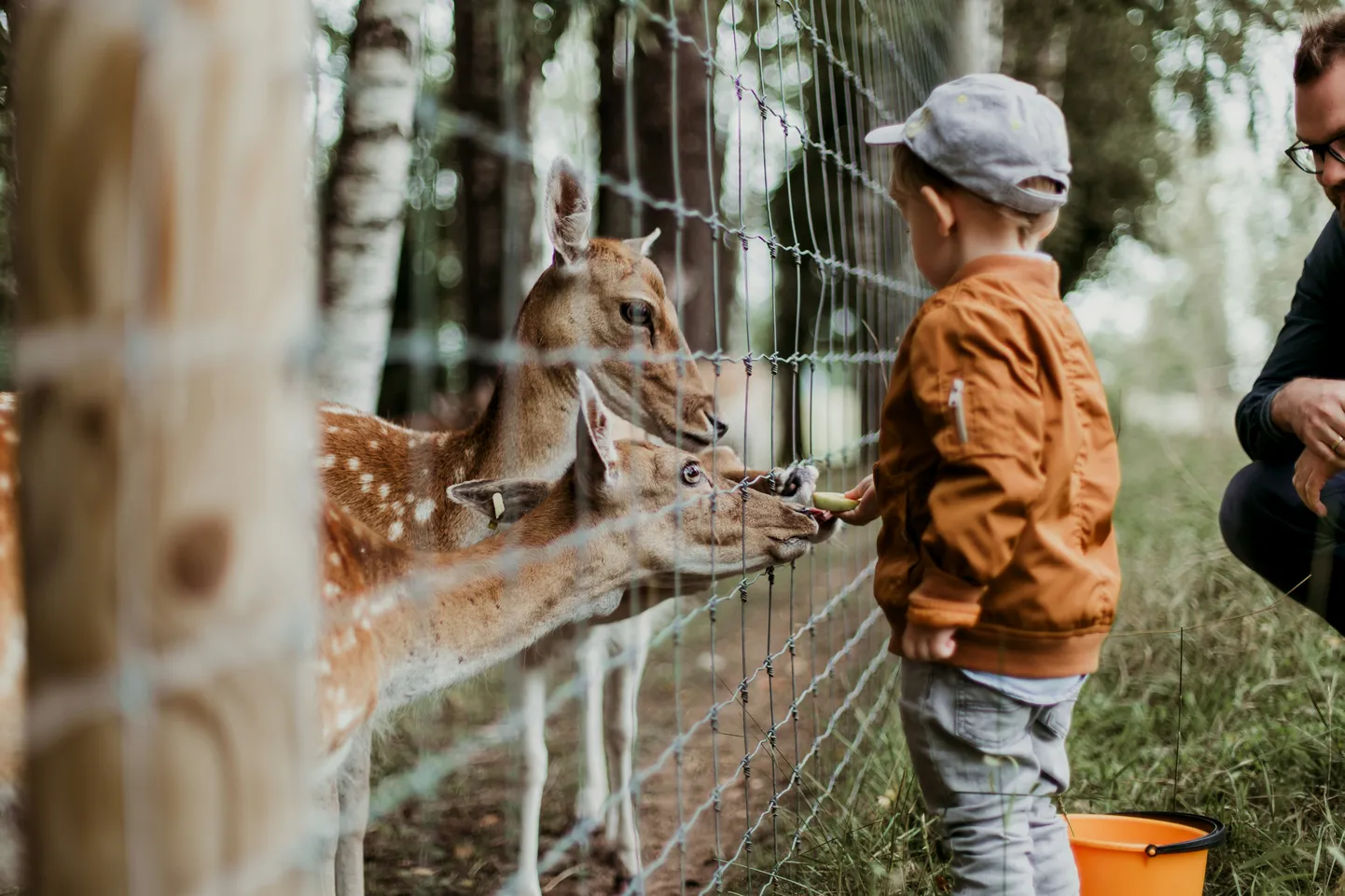 Covid-19 pandeemiaga pidid ümber kohanema ka loomaaiaasukad, kes olid harjunud iga päev külastavate rahvamassidega.