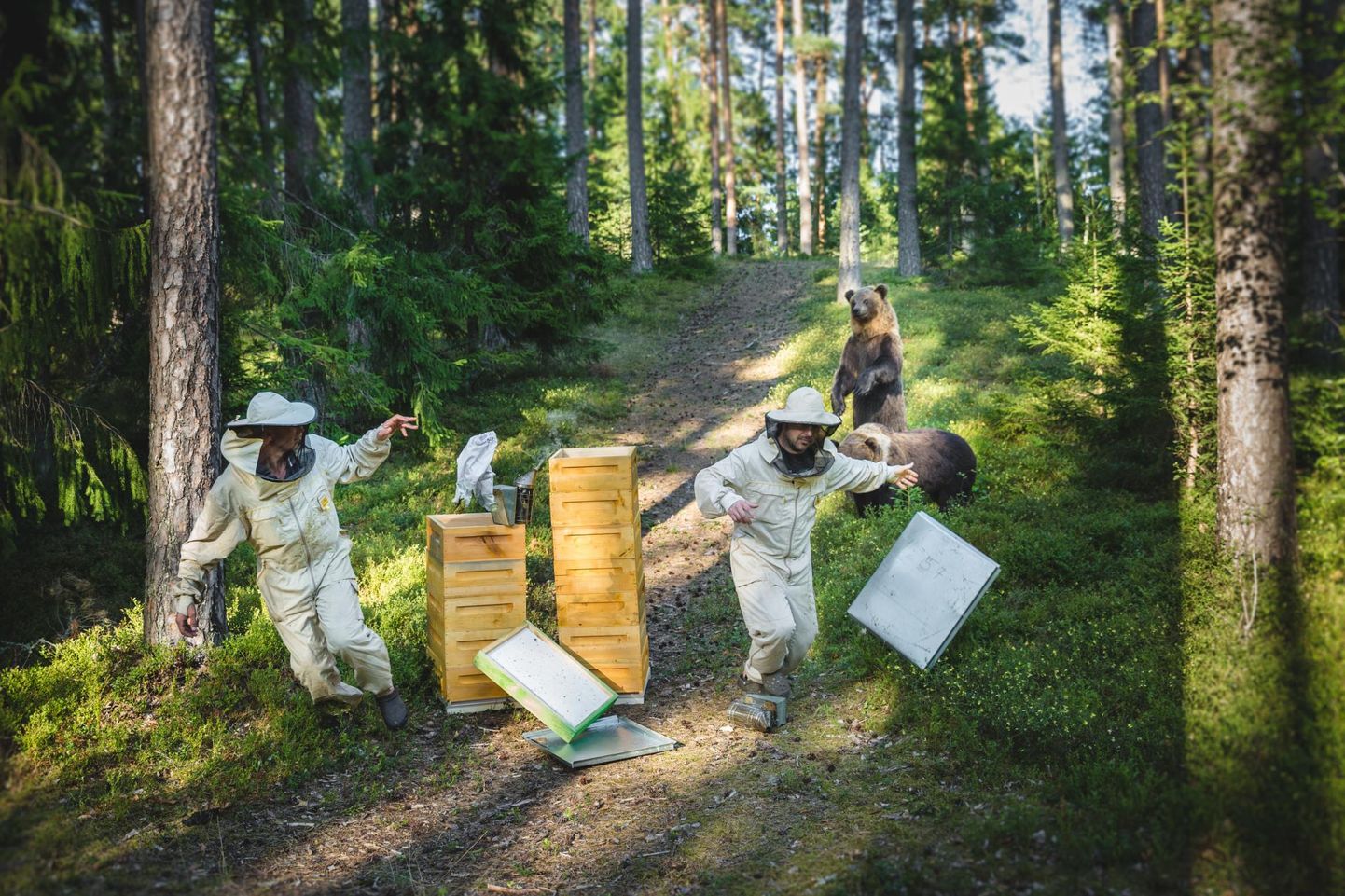Mahemesinikud peavad oma mesilasi sageli metsas ja saaki tuleb tihti mesikäppadega jagada. Pilt on lavastatud ega ole seotud artikliga.
