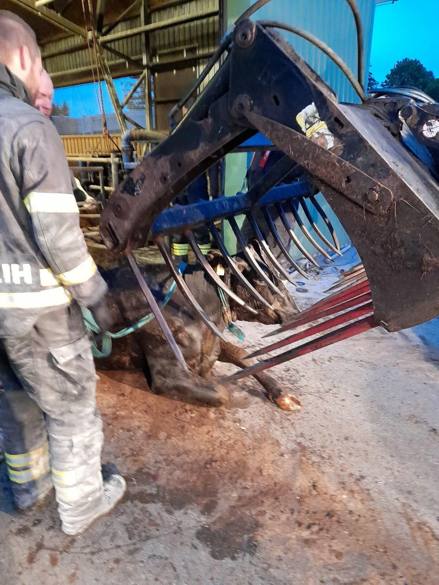 Vissi väljatõstmiseks läks vaja traktorit.