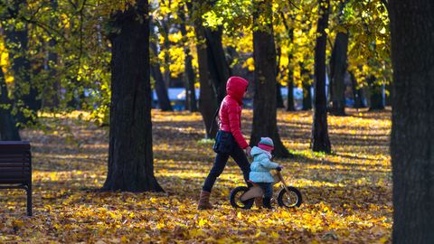 Фотоновость: эстонская семья обнаружила в парке нечто невероятное