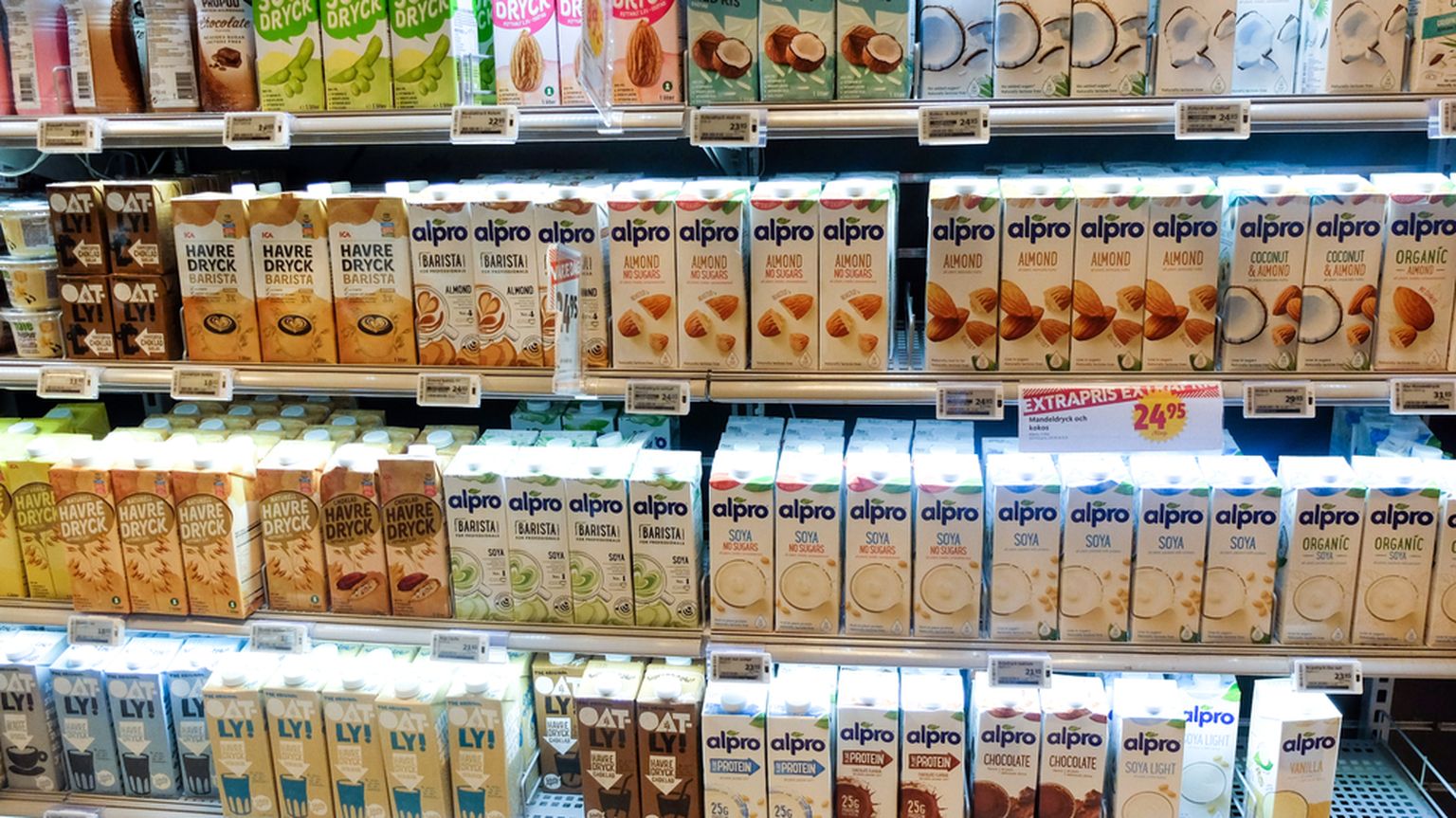 Taimse piima valik toidupoes.