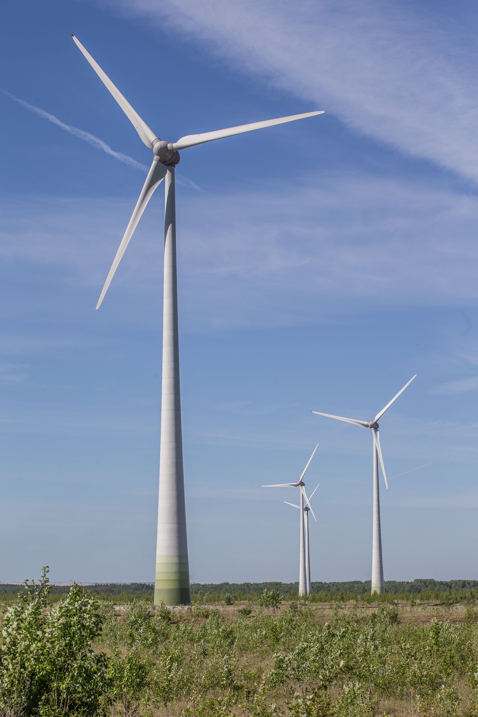 Eesti Energial on Ida-Virumaal praegu tuulepark Narva lähedal Balti elektrijaama tuhaplatool.