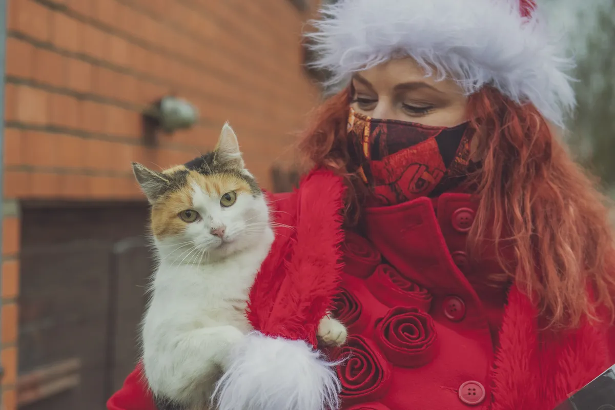 Raksta foto