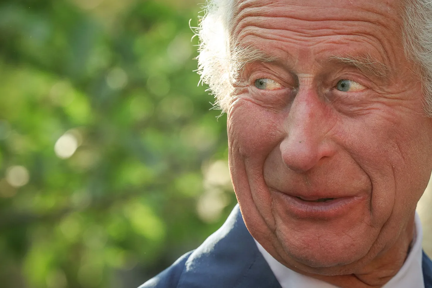 Kuningas Charles.