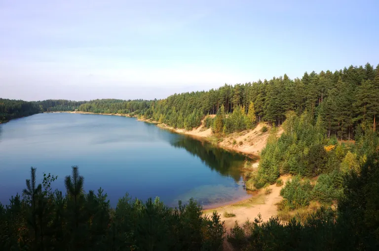 Raksta foto