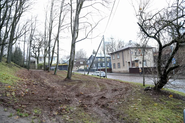 Karlova pargis on linna tellimusel katsetatud puulehtede purustamist murutraktoriga. Tulemuse kaunidus on vaataja silmades.