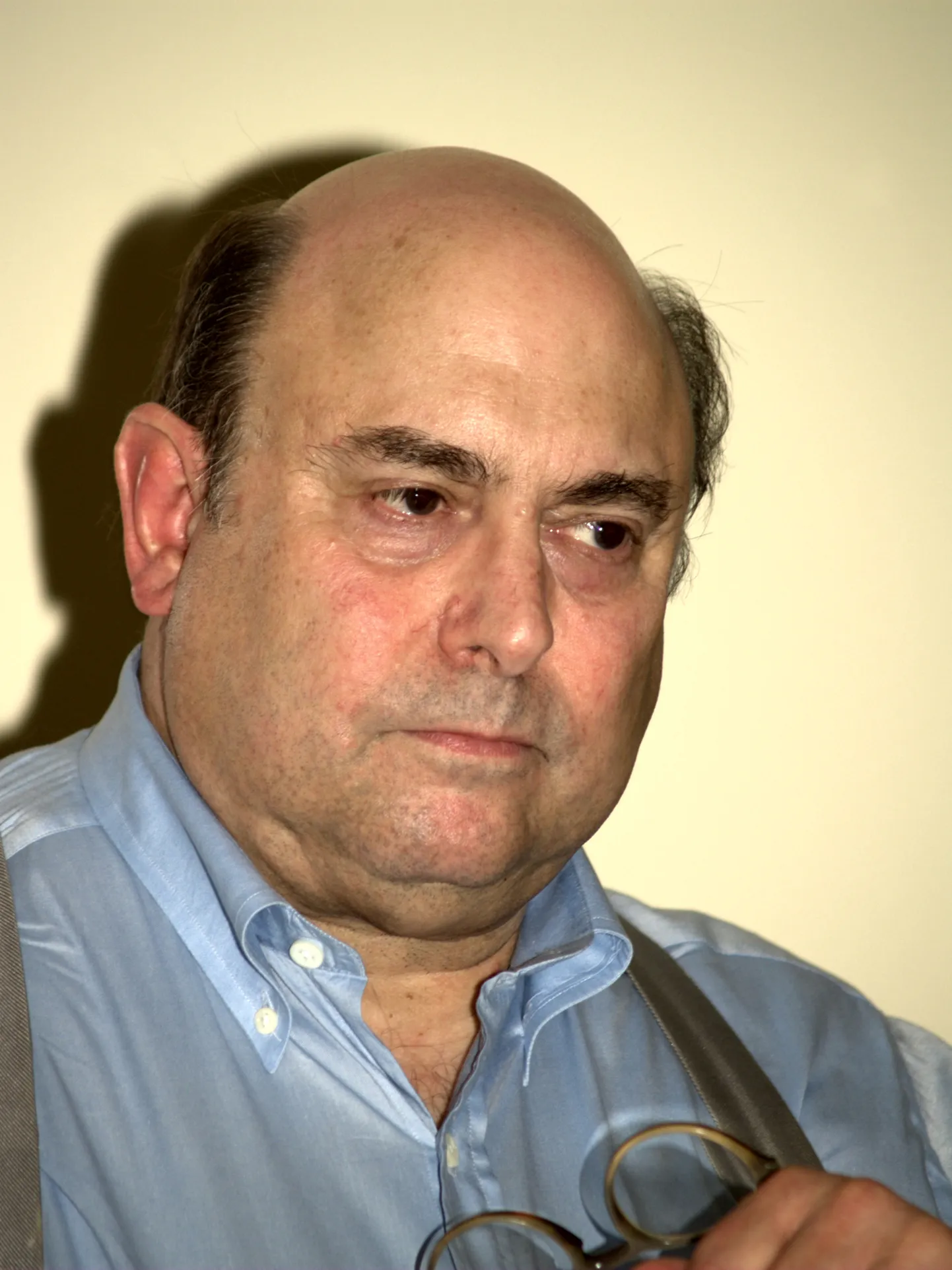 Peter Straub  2010. aastal Brooklyni raamatufestivalil.